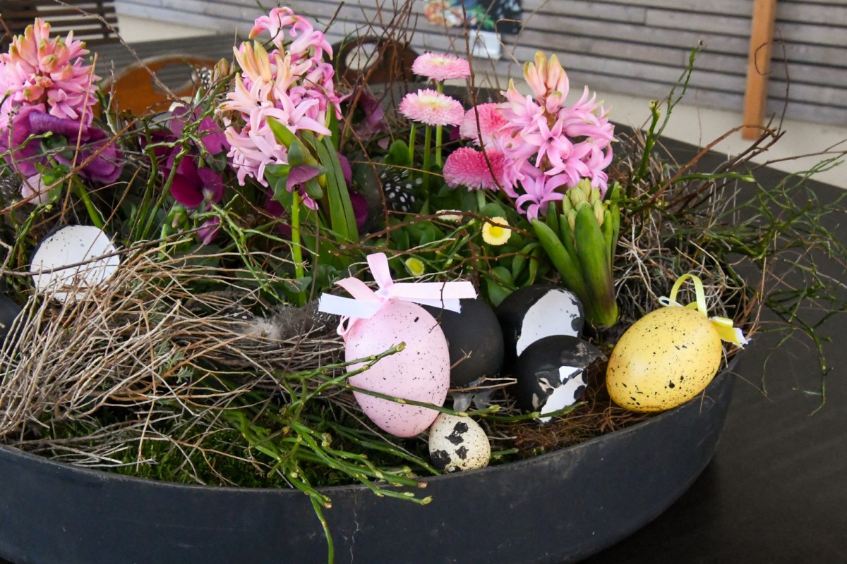 Ostern im B&Auml;RENWALD M&uuml;ritz, &copy; B&Auml;RENWALD M&uuml;ritz | Manuela Klier