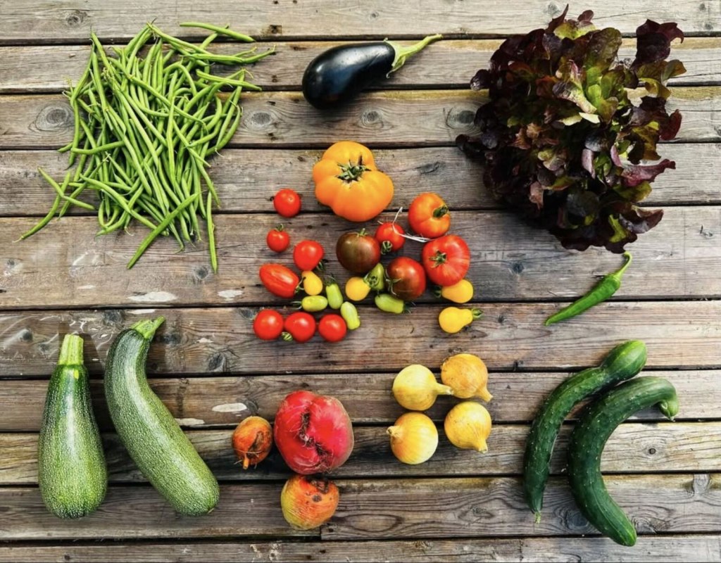 &copy; Good Food Syndicate