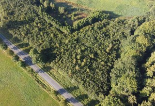 Klimawald B&uuml;tzow, &copy; Landesforst MV