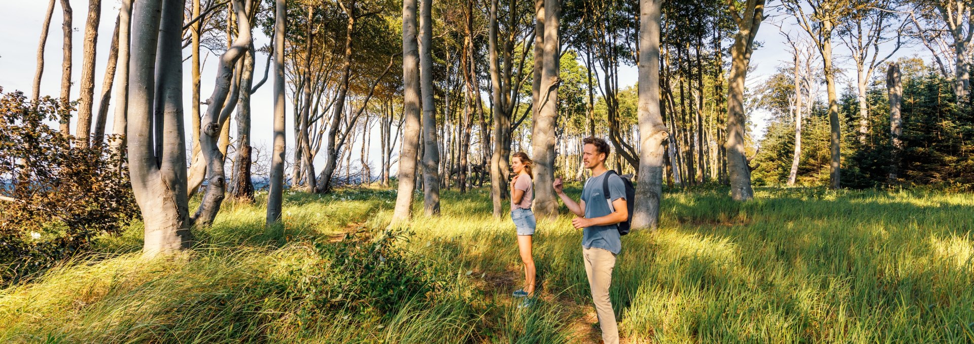 Ein Mann und eine Frau wandern auf einem schmalen Pfad durch die Rostocker Heide, umgeben von hohen, lichtdurchfluteten Buchen und grünem Gras. // Wanderung durch die lichtdurchflutete Rostocker Heide – ein Paar genießt die Ruhe und die Natur im Schatten der hohen Buchen. // © MV-T/Tiemann Ein Mann und eine Frau wandern auf einem schmalen Pfad durch die Rostocker Heide, umgeben von hohen, lichtdurchfluteten Buchen und grünem Gras.