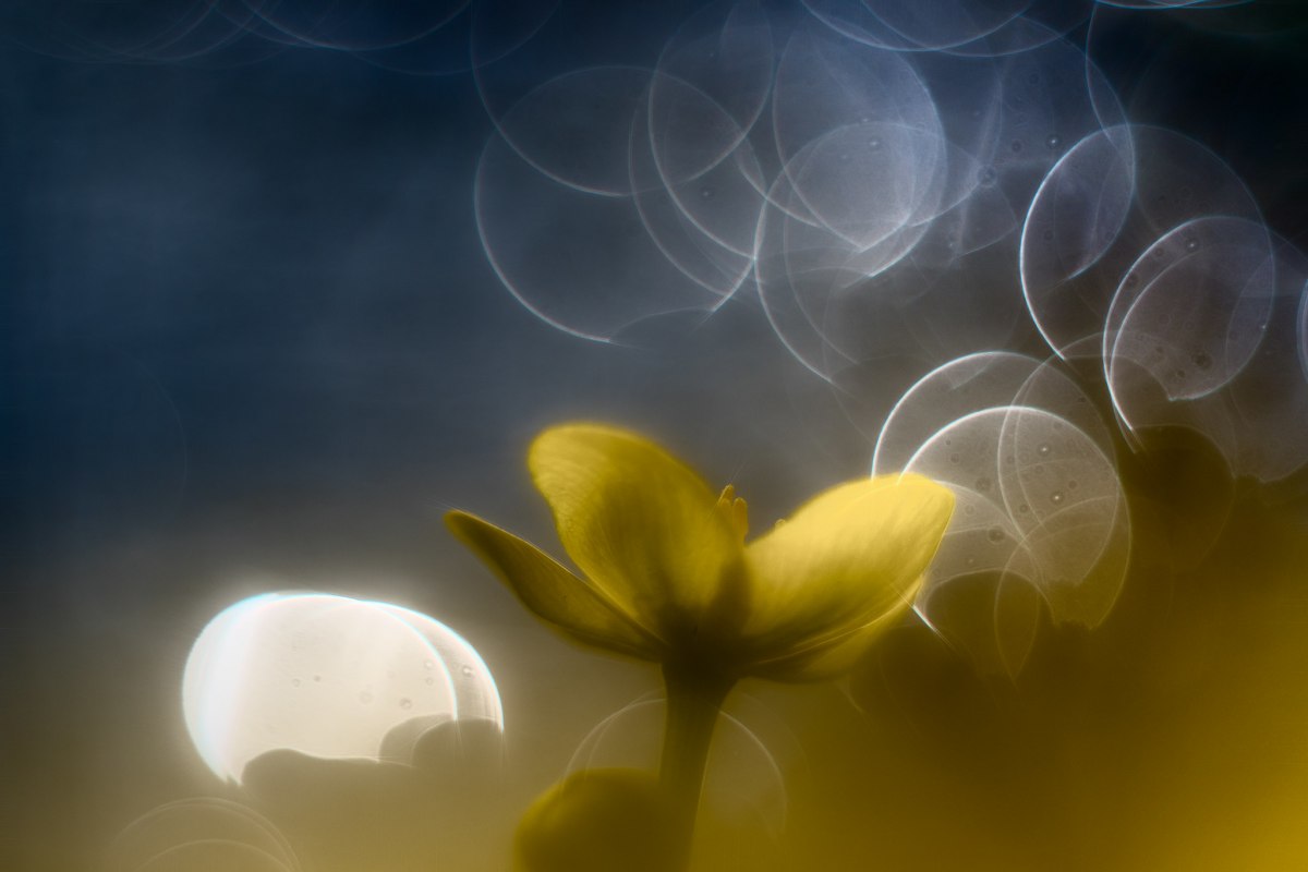 © Ralf Mittermüller © Ralf Mittermüller