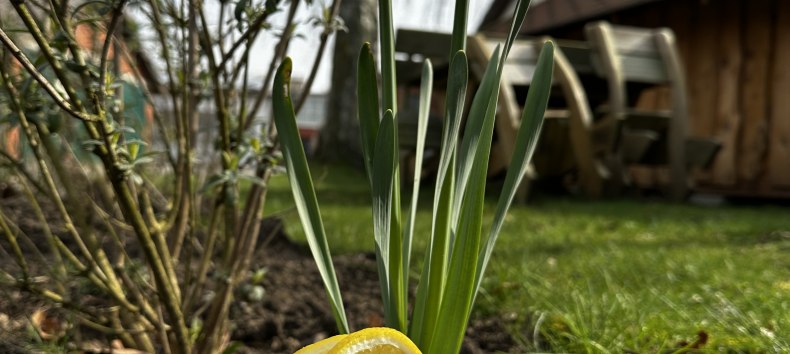 Pfingsten bei den Bernsteinreitern, &copy; de