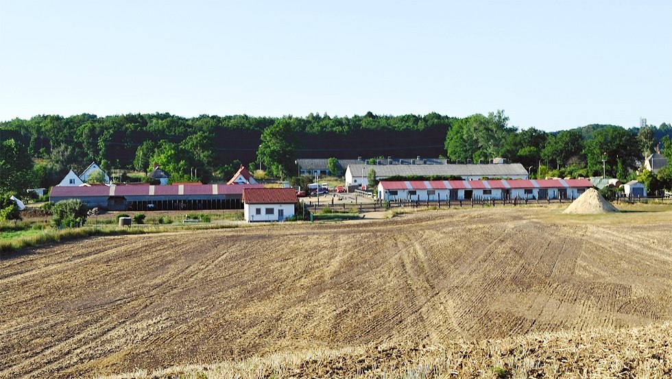 Zentral auf der Insel Rügen nahe der Ostseebäder gelegen: der Hof-Viervitz // © Hof-Viervitz/Hermann Zentral auf der Insel Rügen nahe der Ostseebäder gelegen: der Hof-Viervitz // © Hof-Viervitz/Hermann