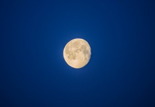 © Binzer Bucht Tourismus