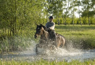 Auf ihrem Tagesritt durchreitet die Reiterin einen Teich entlang des Weges, &copy; TMV/ Hafemann