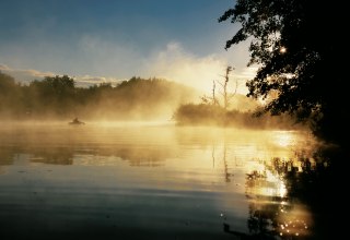 Geheimnisvoller Nebel am Morgen &uuml;ber der Peene // &copy; MV-T/Grundner
