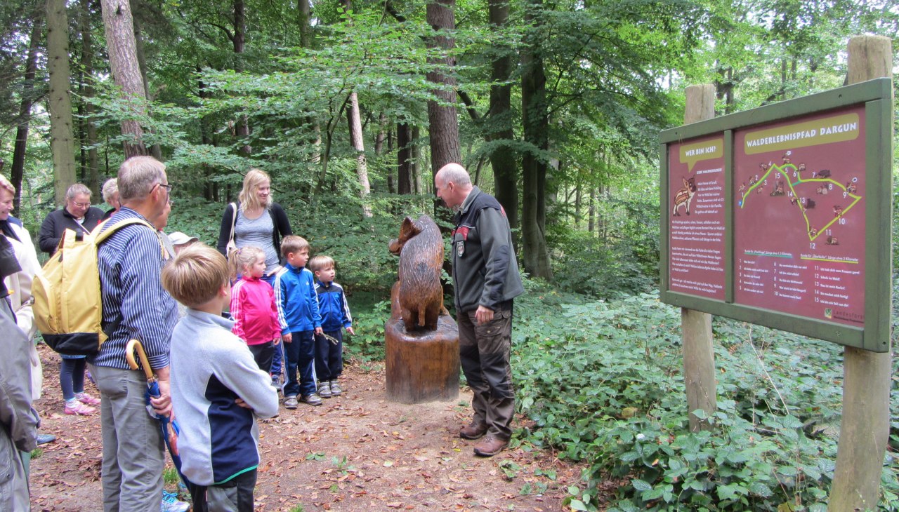 Bosbouwkantoor gidst door het bos Bosbouwkantoor gidst door het bos