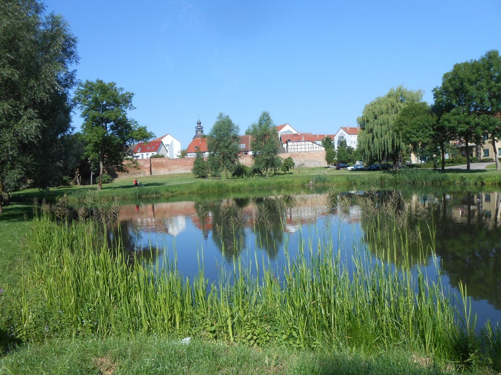 Die grüne Oase von Malchin (Stadtansicht vom Park aus) // © Monika Kröger Die grüne Oase von Malchin (Stadtansicht vom Park aus) // © Monika Kröger