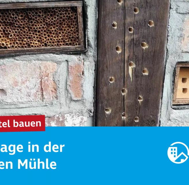 &copy; NEUWOGES