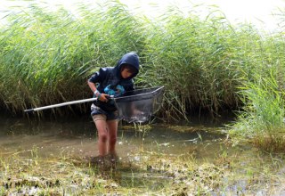 © Biosphärenreservat Südost-Rügen © Biosphärenreservat Südost-Rügen