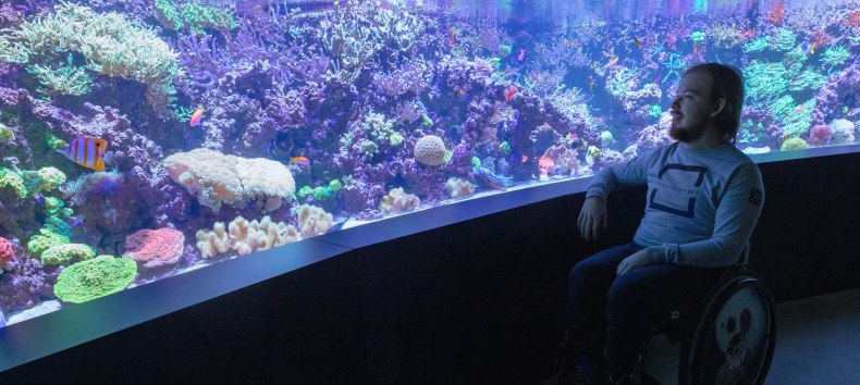 Leuchtende tropische Korallen kann man im MEERESMUSEUM bei einer Aquarienführung entdecken. // © Anke Neumeister/Deutsches Meeresmuseum Leuchtende tropische Korallen kann man im MEERESMUSEUM bei einer Aquarienführung entdecken. // © Anke Neumeister/Deutsches Meeresmuseum