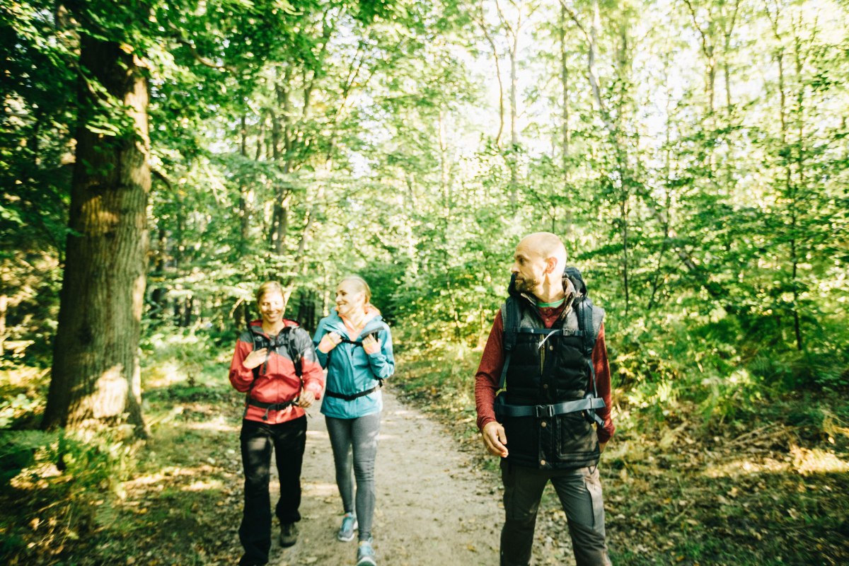 Wanderung durch die Rostocker Heide // © TZRW_T.Roth Wanderung durch die Rostocker Heide // © TZRW_T.Roth