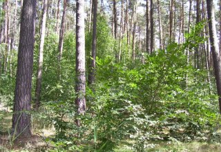 Kleine Plätze zum Staunen // © Sabine Görmar Kleine Plätze zum Staunen // © Sabine Görmar