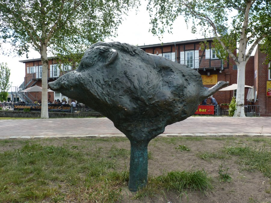 Wildschwein - rasende Sau, &copy; Waren (M&uuml;ritz)-Information