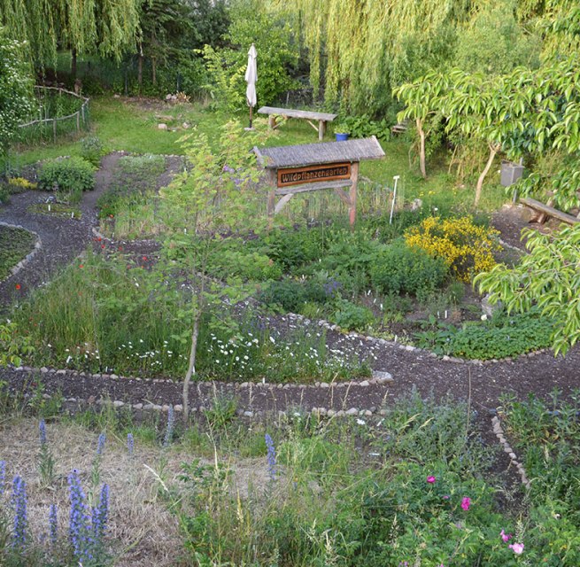 © Wildpflanzengarten Waren (Müritz) © Wildpflanzengarten Waren (Müritz)