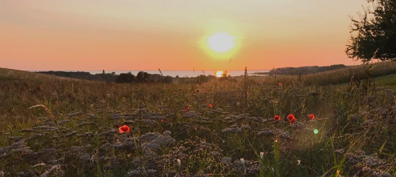 &copy; Nico Offermann