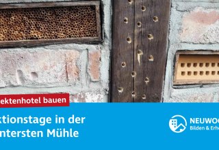 &copy; NEUWOGES