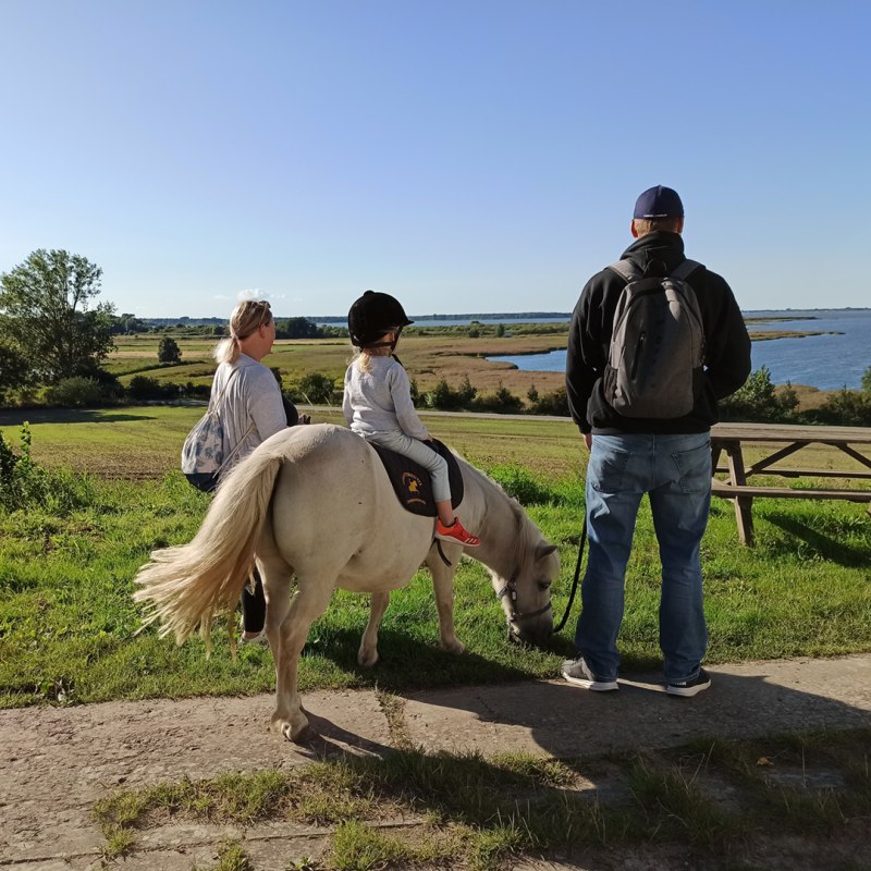 Familientag mit Pony Barth, &copy; DE