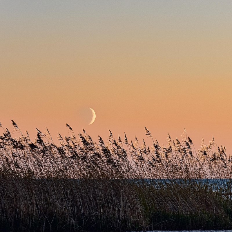 Neumond, © Kurverwaltung Mönchgut Neumond, © Kurverwaltung Mönchgut