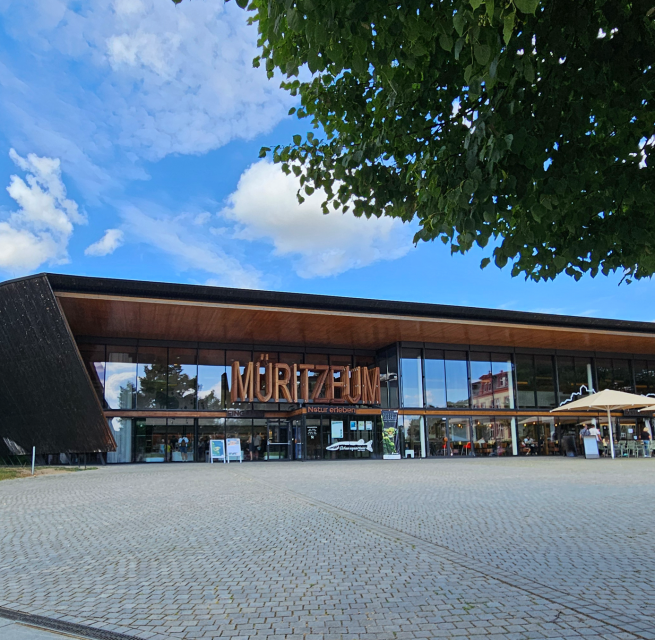 © Müritzeum