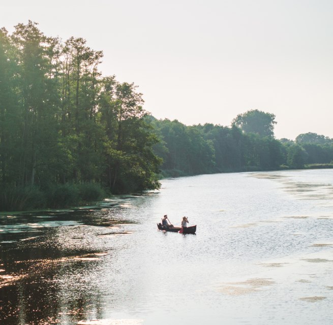 Zwei Personen paddeln in einem Kanu auf der Peene, umgeben von &uuml;ppiger Natur und sonnendurchflutetem Wasser.