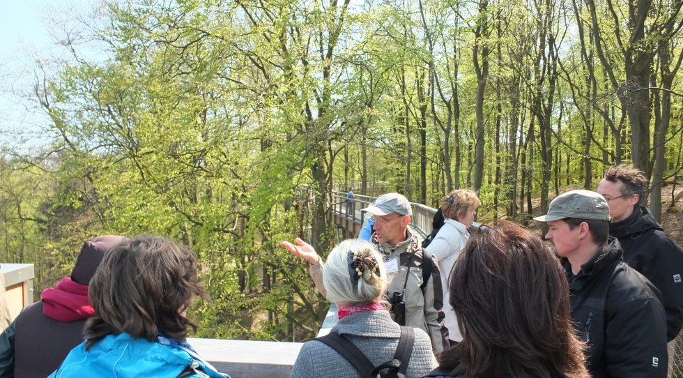 Rondleiding over de boomtoppenwandeling door een gecertificeerde natuur- en landschapsgids // &copy; Martin Hagemann