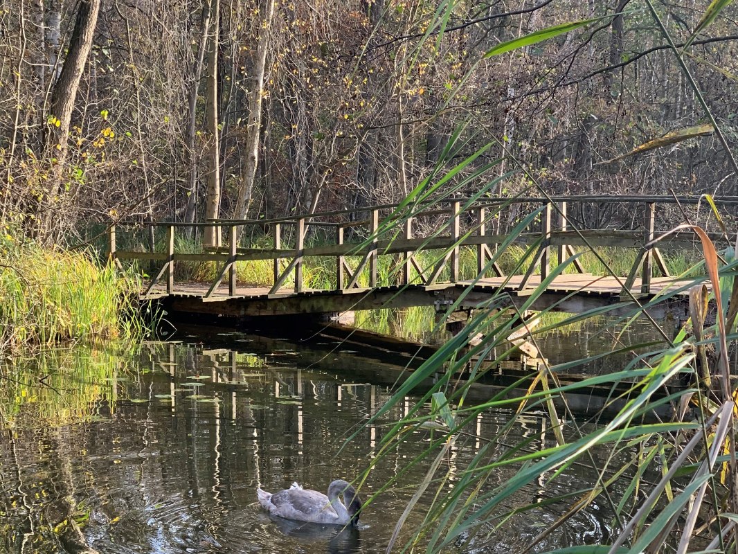 Schaalebrücke // © E. Dornblut Schaalebrücke // © E. Dornblut