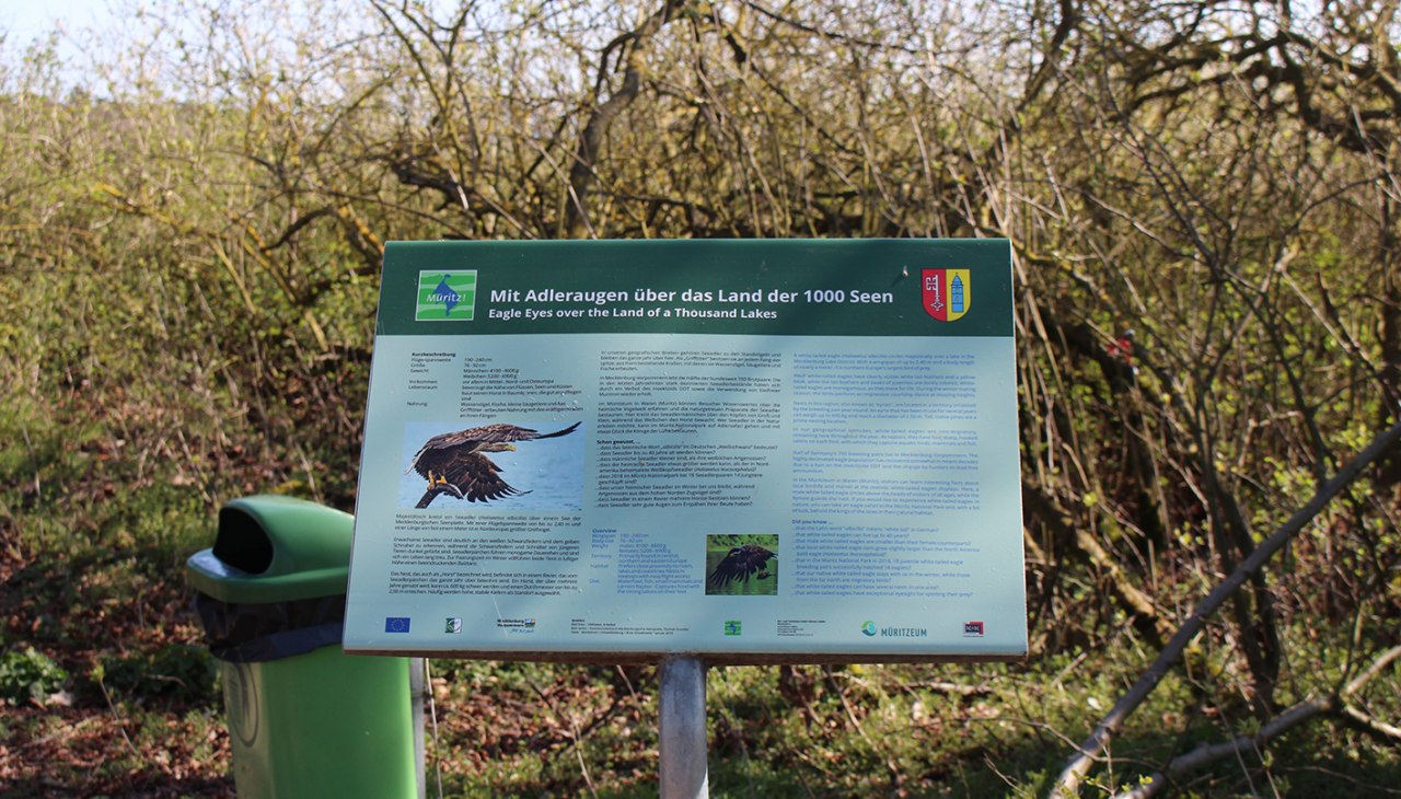 Hinweistafel, © Kur- und Tourismus GmbH Göhren-Lebbin Hinweistafel, © Kur- und Tourismus GmbH Göhren-Lebbin