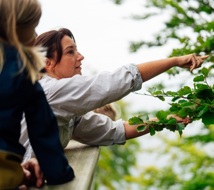 &copy; Dan Petermann / Nationalpark-Zentrum K&Ouml;NIGSSTUHL