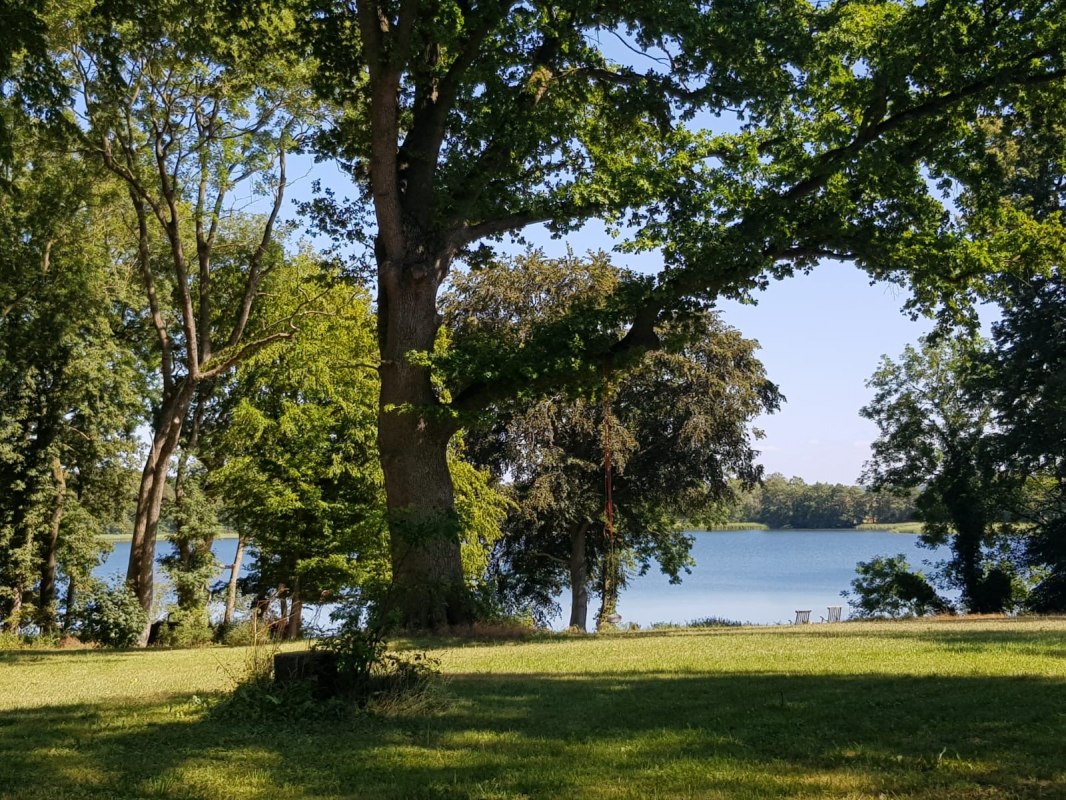 Park van het landhuis aan het meer van Penzlin // &copy; Janssen