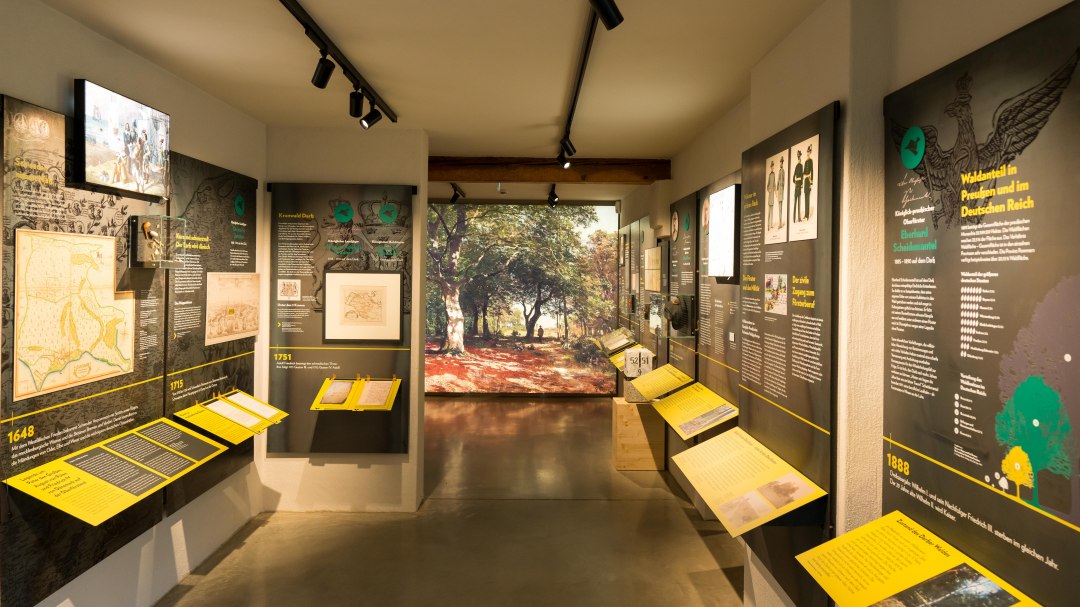 MUSEUM Alte Oberförsterei Born, © Moritz Kertzscher