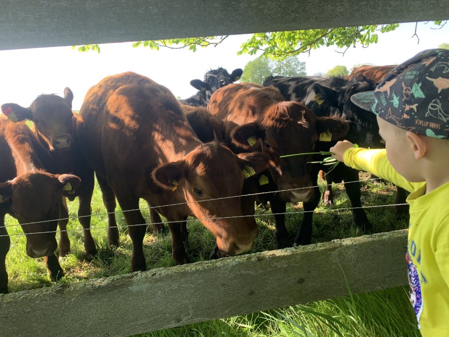 Hofladen Marihn, © Gut Marihn GmbH & Co. KG