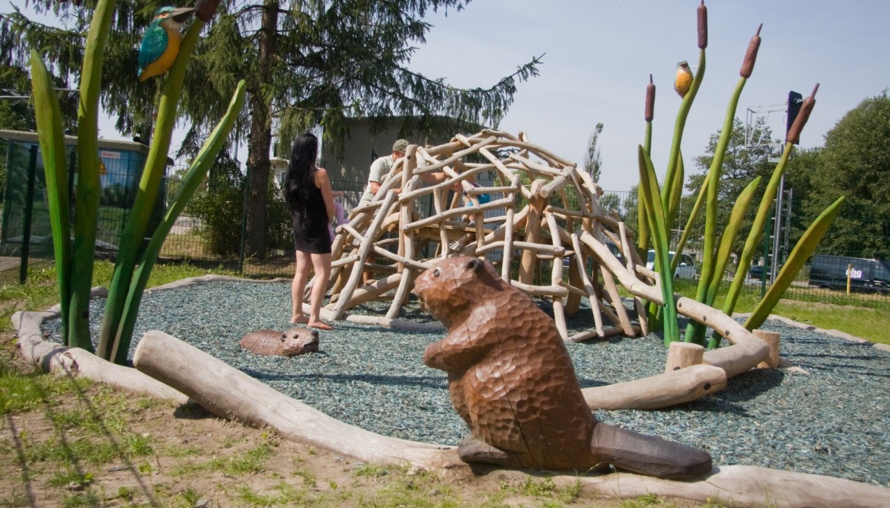 Außenanlage mit "Biberburg", © U. Steinhäuser Außenanlage mit "Biberburg", © U. Steinhäuser
