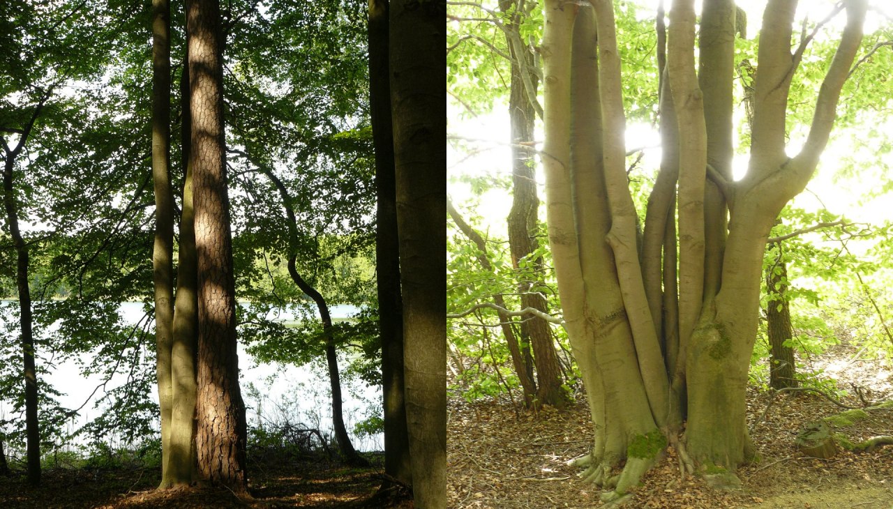 Wanderung um den Tr&uuml;nnsee, &copy; Bianca Schubert
