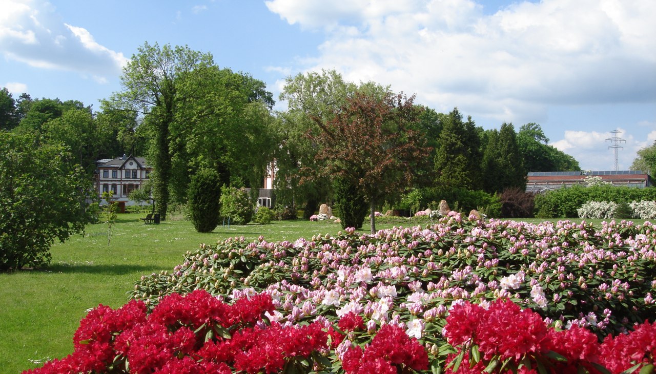Schaugarten 1, © Kur- und Tourismus GmbH Waren (Müritz) Schaugarten 1, © Kur- und Tourismus GmbH Waren (Müritz)