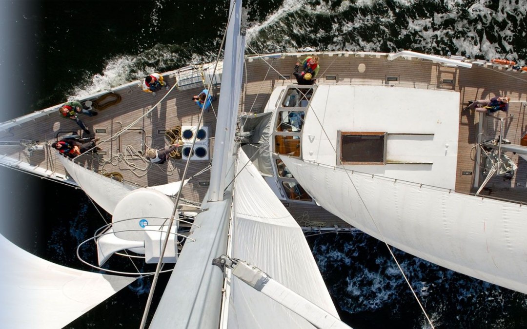 Rollisegler - Wappen von Ueckermünde, © Zerum Ueckermünde