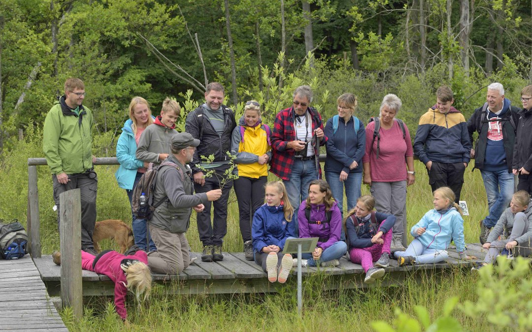 Serrahner Buchenw&auml;lder, &copy; Stadt Neustrelitz