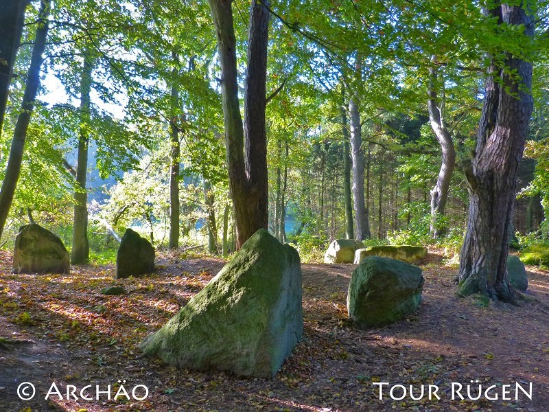 Am K&uuml;stenweg zwischen Lancken-Granitz und Stresow liegen die "Ziegensteine" im Schatten hoher Laubb&auml;ume. // &copy; Arch&auml;o Tour R&uuml;gen