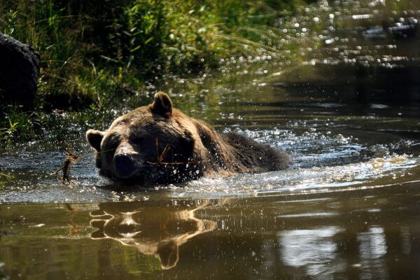 &copy; Rundus Plauer See