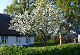 &copy; Captain Pahlen Ferienanlage