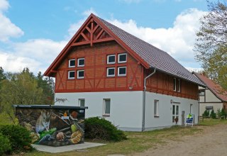 Hier bekommen Sie Informationen über den Lebensraum Buchenwald. // © Wiebke Döbbert Hier bekommen Sie Informationen über den Lebensraum Buchenwald. // © Wiebke Döbbert