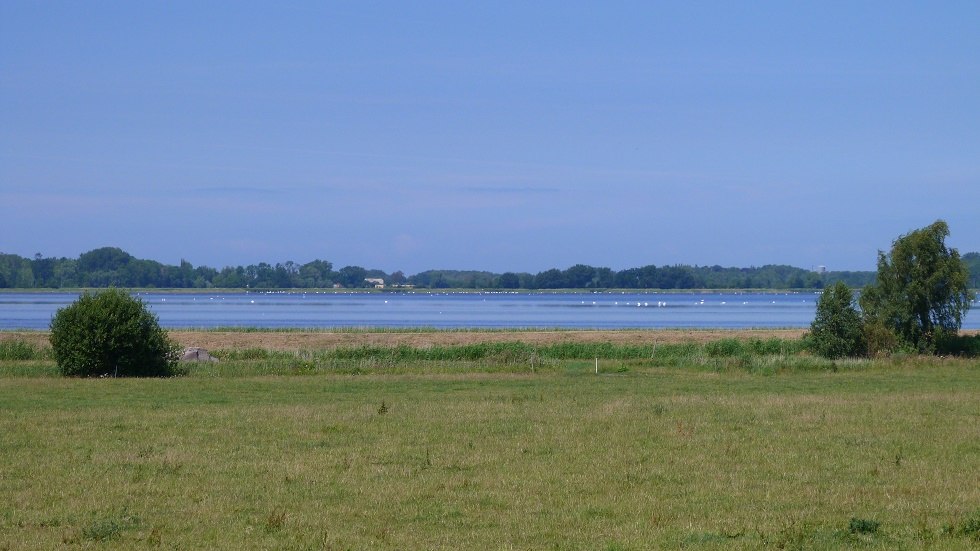 Blick in die Weiten der Vorpommerschen Boddenlandschaft // © Ummanz-Information/Bordych Blick in die Weiten der Vorpommerschen Boddenlandschaft // © Ummanz-Information/Bordych