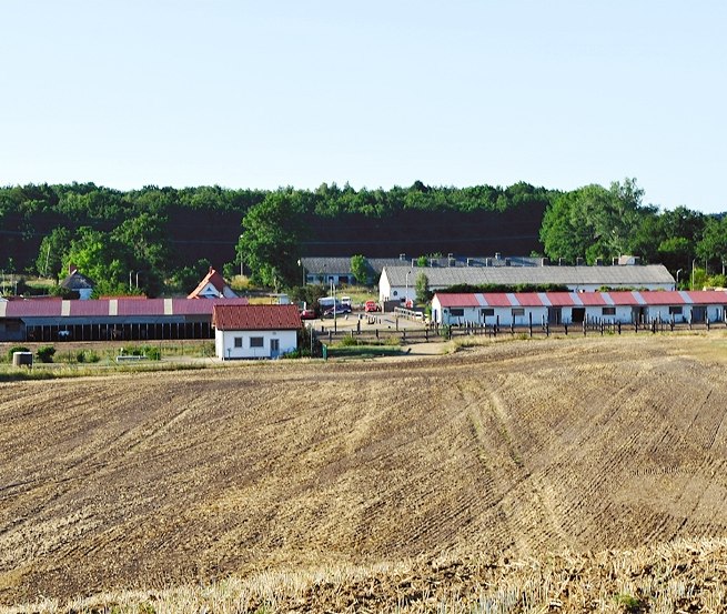 Zentral auf der Insel R&uuml;gen nahe der Ostseeb&auml;der gelegen: der Hof-Viervitz // &copy; Hof-Viervitz/Hermann