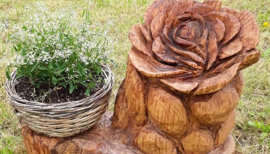 Rose &copy; Sarah Streif, &copy; Sarah Streif