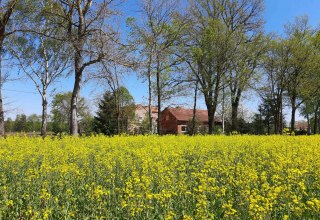 LüttenHof-Retreat, © Tanja von Heintze