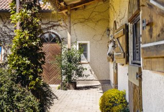 Paard in zijn box, &copy; Bombis