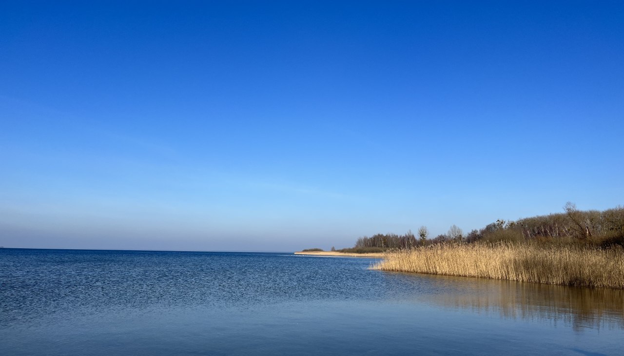 Hundestrand Mili, &copy; TDG Rechlin mbH