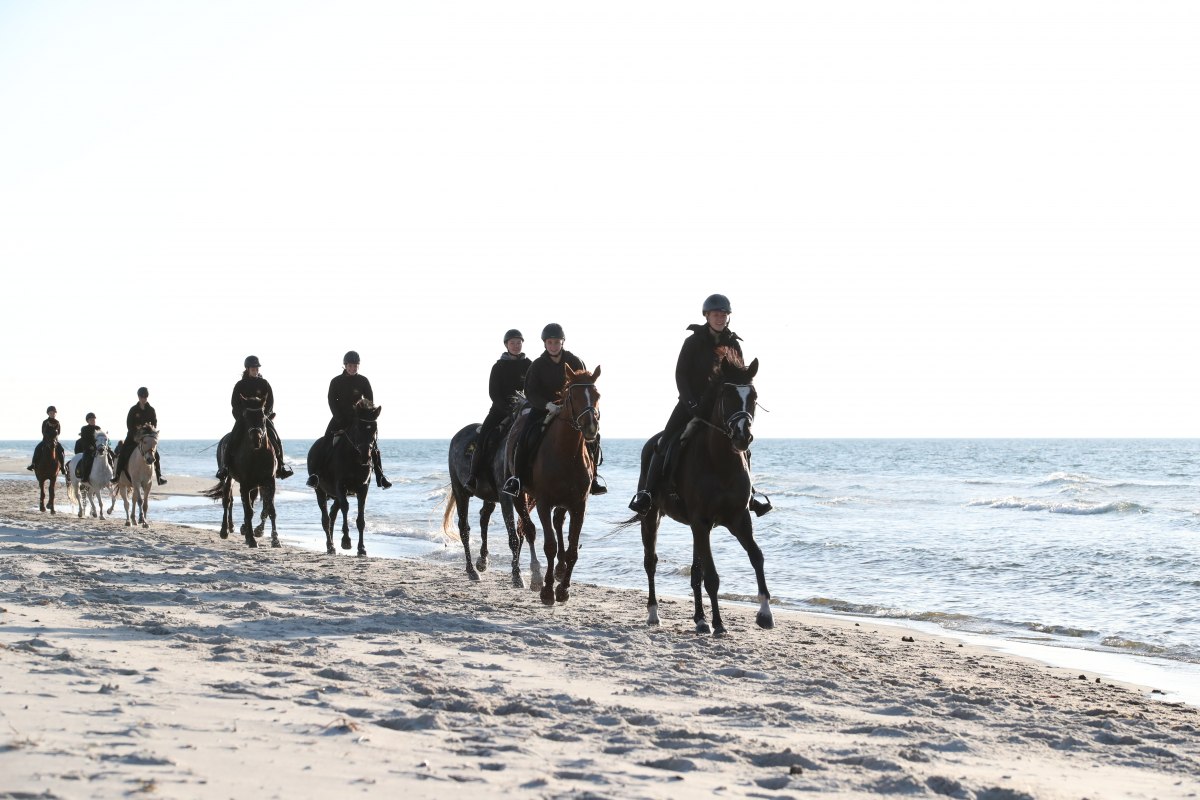 Reiten am Strand, © TMV/ACP Pantel Reiten am Strand, © TMV/ACP Pantel