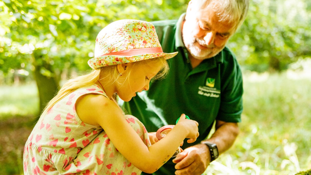 Waldpädagogik, © Landesforst MV Waldpädagogik, © Landesforst MV