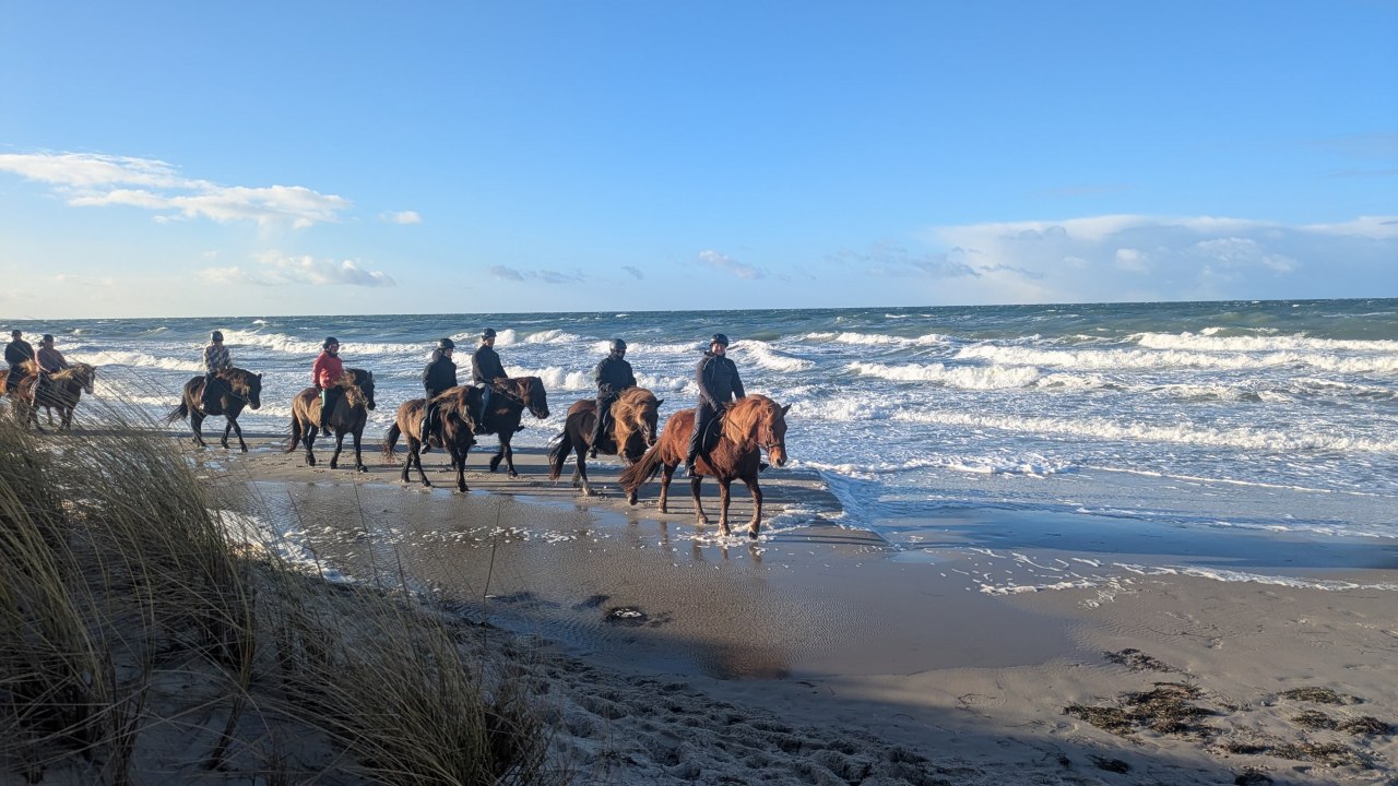 Paardrijden op het strand van de Oostzee // © Islandpferdehof Fischland Paardrijden op het strand van de Oostzee // © Islandpferdehof Fischland
